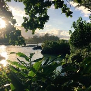 Meet your Posher, Aliah